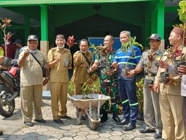 DESA BERSERI DESA TAWANGREJO KECAMATAN BINANGUN